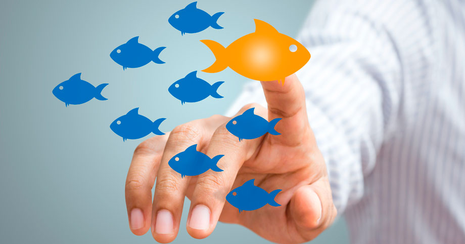 5 formas de vencer a tu competencia en franquicia